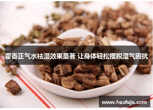 藿香正气水祛湿效果显著 让身体轻松摆脱湿气困扰 藿香正气水祛湿效果显著 让身体轻松摆脱湿气困扰